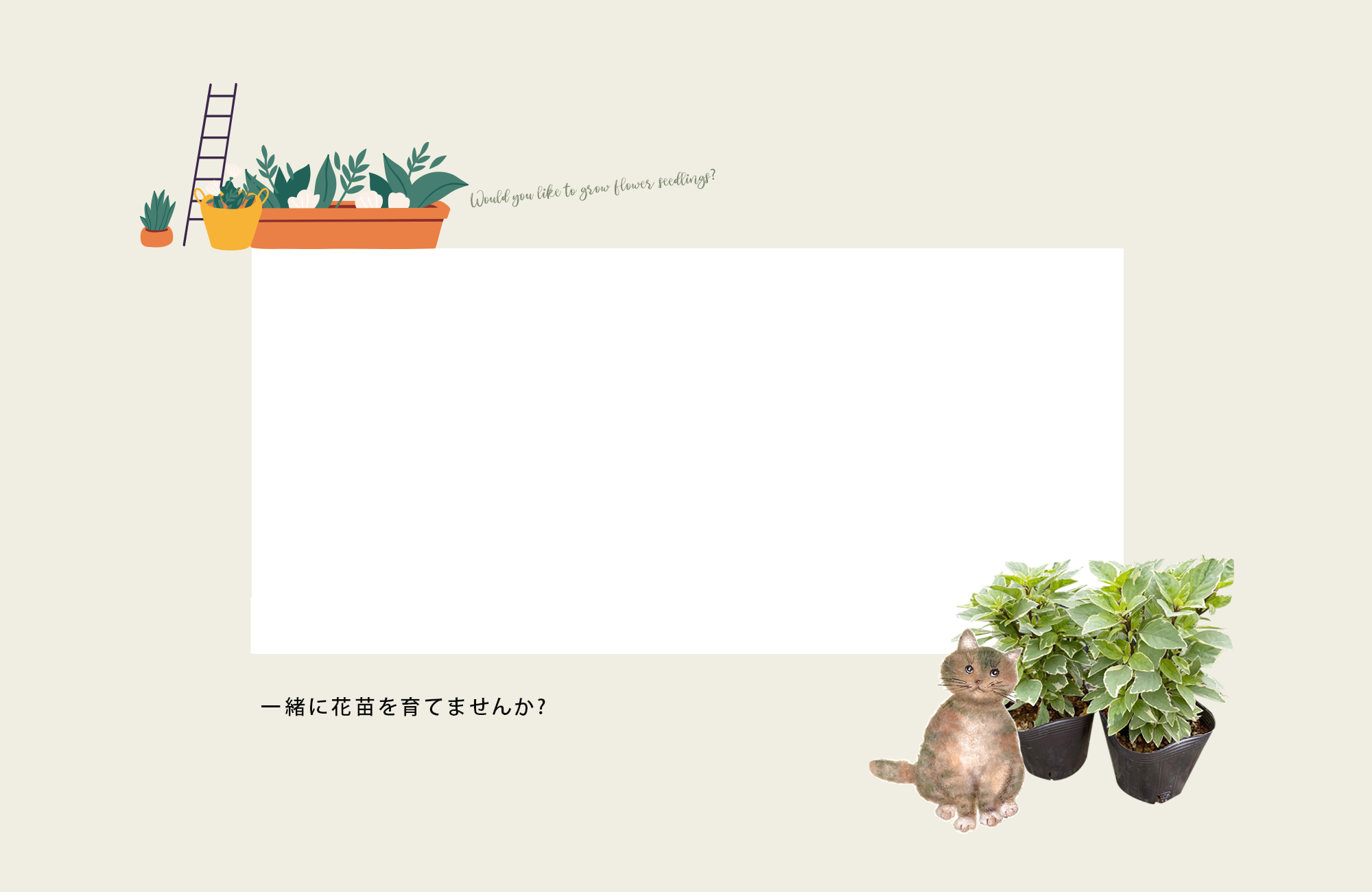 second_bg_01